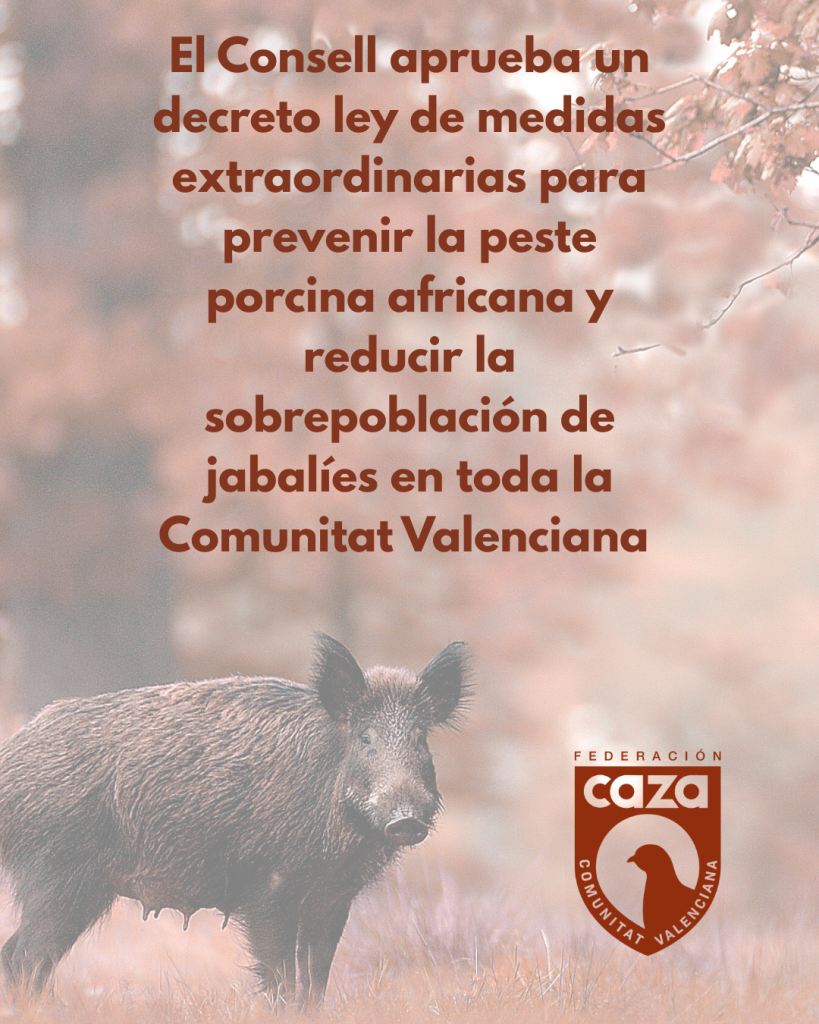 El Consell aprueba un decreto ley de medidas extraordinarias para ...